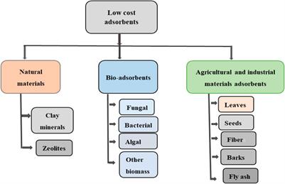 Biomass-Based Adsorbents for Removal of Dyes From Wastewater: A Review